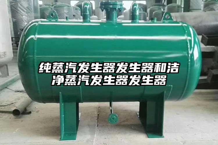 純蒸汽發生器發生器和潔凈蒸汽發生器發生器